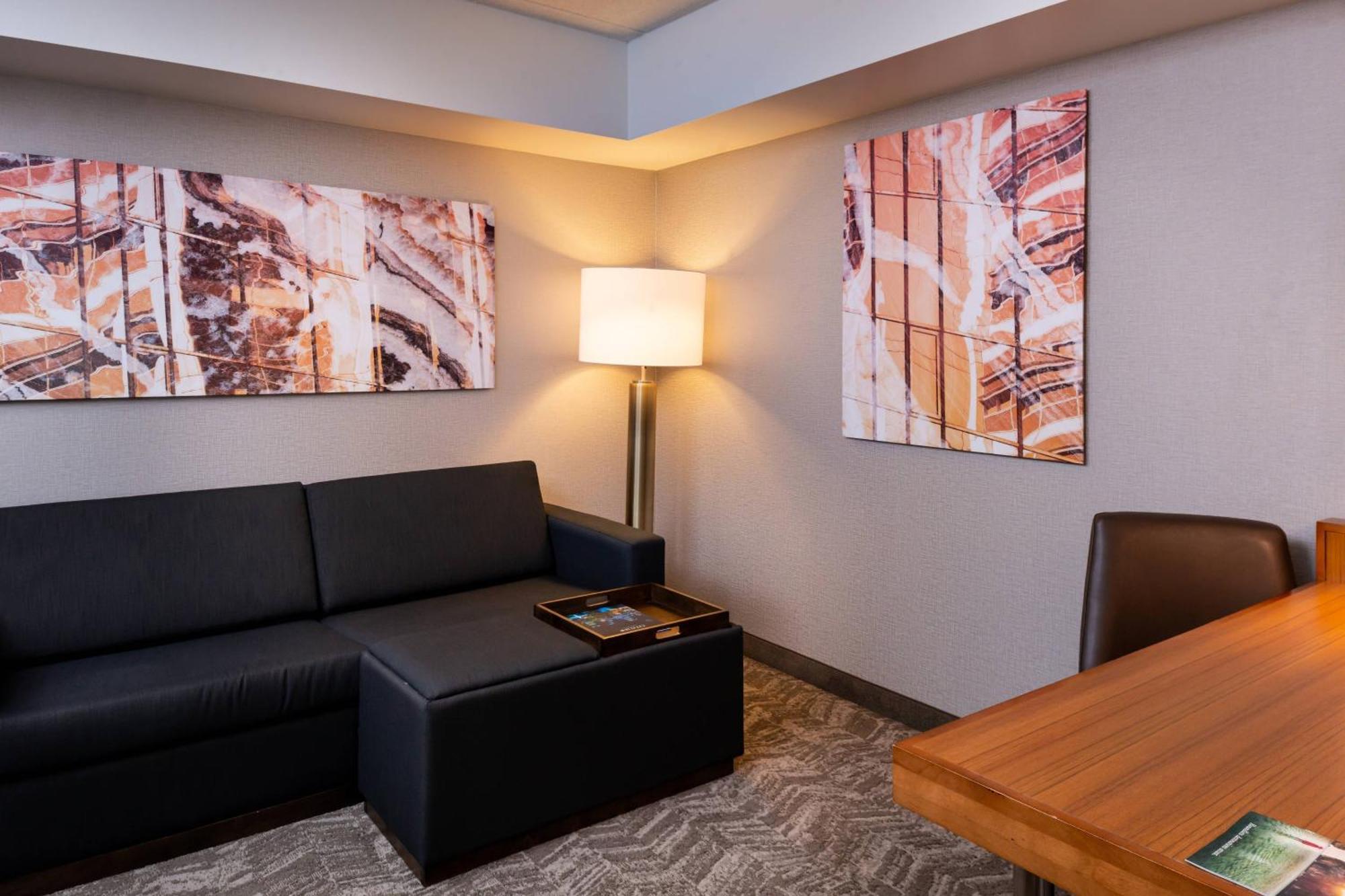 Springhill Suites By Marriott Pittsburgh North Shore Eksteriør billede